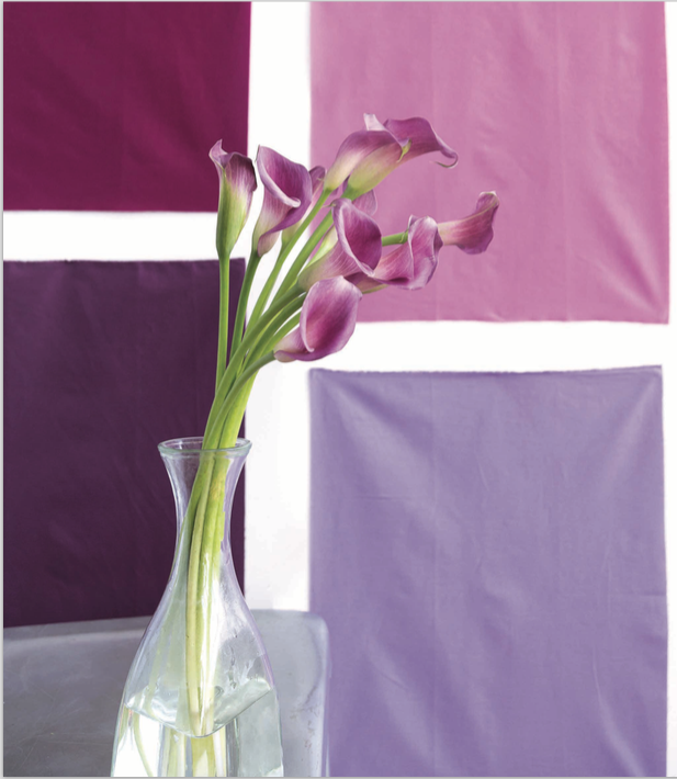 Simply Color: Purple