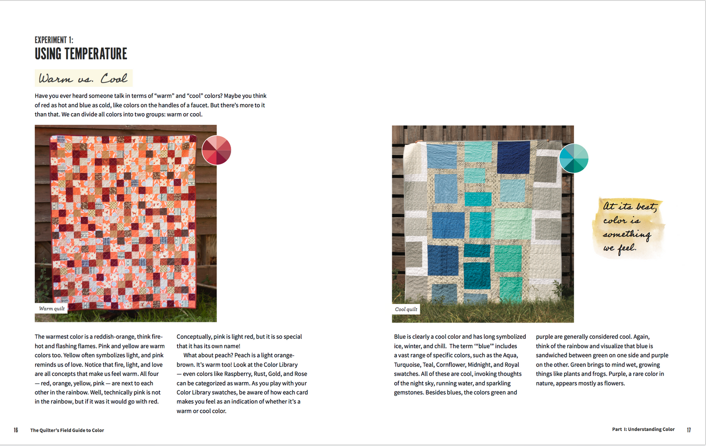 The Quilter's Field Guide to Color